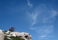 LSW photo235