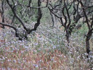 LSW photo237