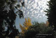 TF photo003