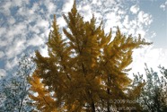 TF photo004