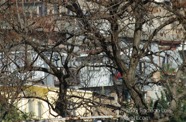 TF photo008