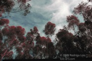 TF photo009