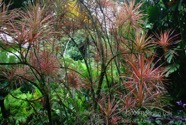 TF photo011