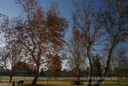 TF photo017