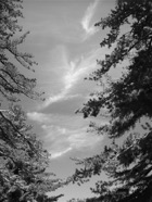 TF photo018