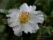 TF photo019
