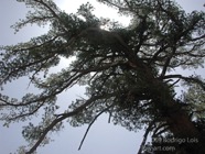 TF photo021