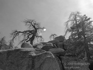 TF photo023