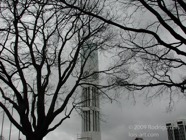 TF photo031