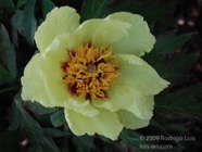 TF photo035