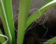 TF photo042