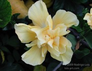 TF photo046