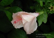 TF photo048