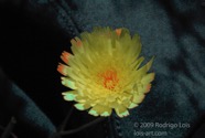 TF photo068