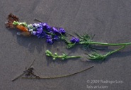 TF photo070