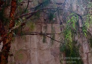 TF photo079