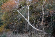 TF photo080