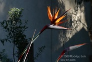 TF photo083
