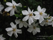 TF photo084
