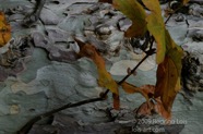 TF photo088