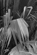 TF photo097