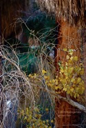 TF photo098