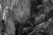 TF photo099